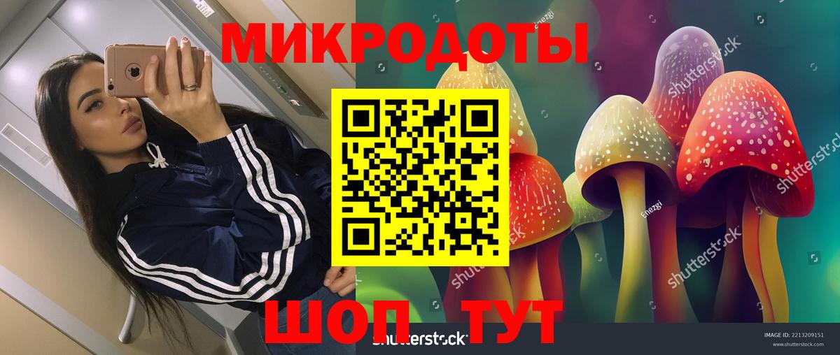 Кемерово  хочу   Псилоцибиновые грибы мицелий  Вход с VPN  Галлюциногенные грибы GOLDEN TEACHER 